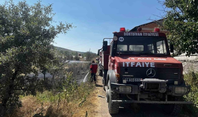 Bolu'da otluk alandaki yangın büyümeden söndürüldü