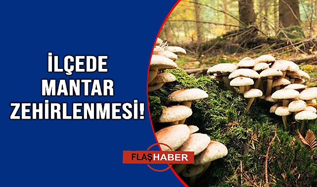 Zehirli Mantar Hastanelik Etti