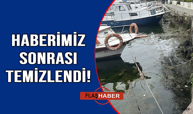 Belediye harekete geçti