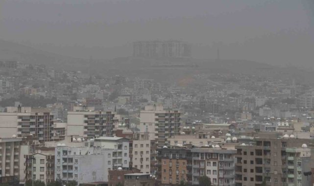 Cizre'de toz taşınımı hayatı olumsuz etkiledi