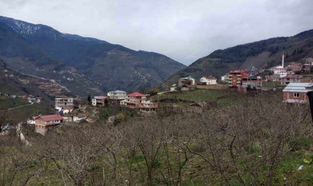 Danıştay kararını verdi; 35 yıl sonra Giresun'a bağlandılar
