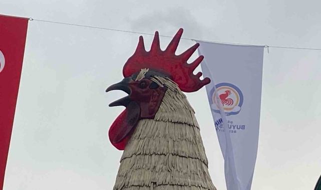 Denizli Horozu doludan nasibini aldı