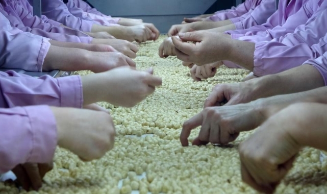 Düzce'de AB ülkelerine 8 bin 374 ton gönderildi