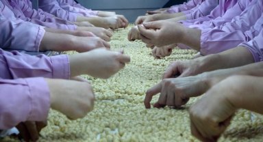 Düzce'de AB ülkelerine 8 bin 374 ton gönderildi