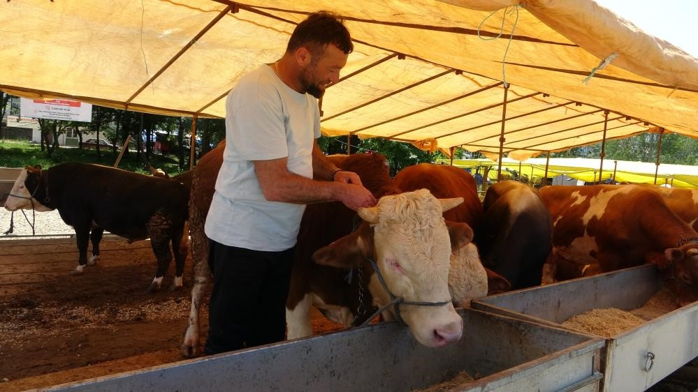 Ülke genelinde tüm hayvan pazarları kapatıldı