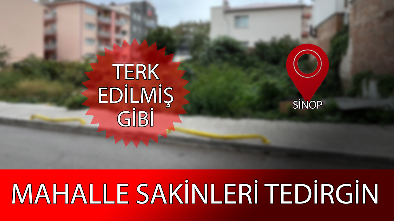 Burası kent merkezi