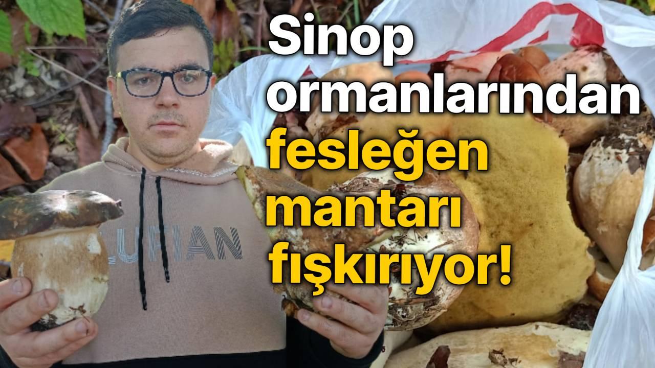 Otomatik Taslak