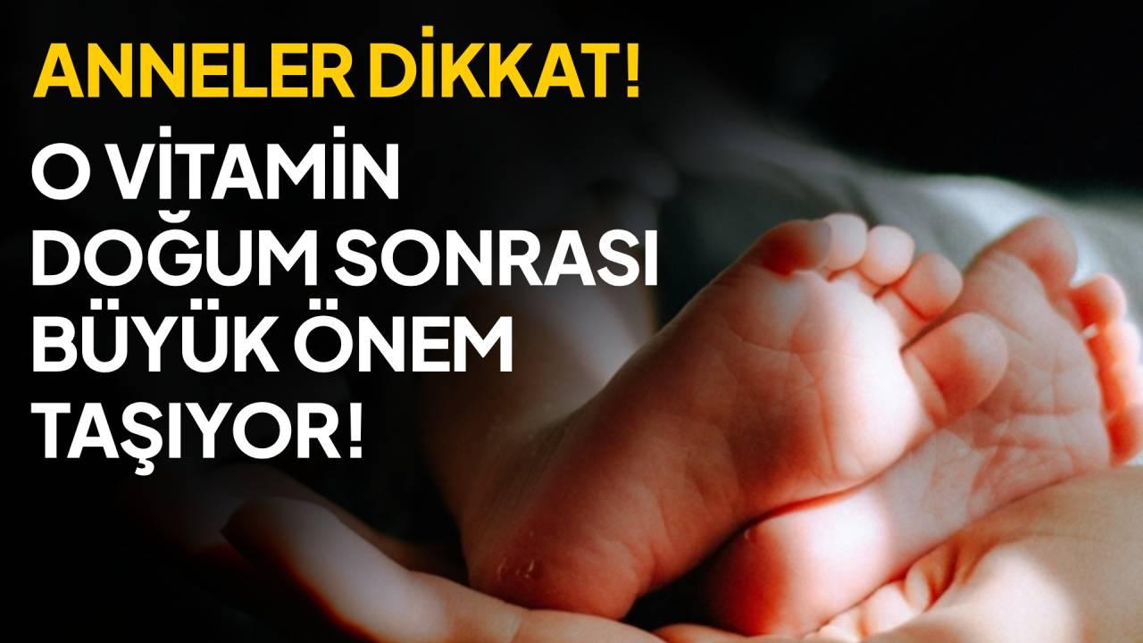 Otomatik Taslak