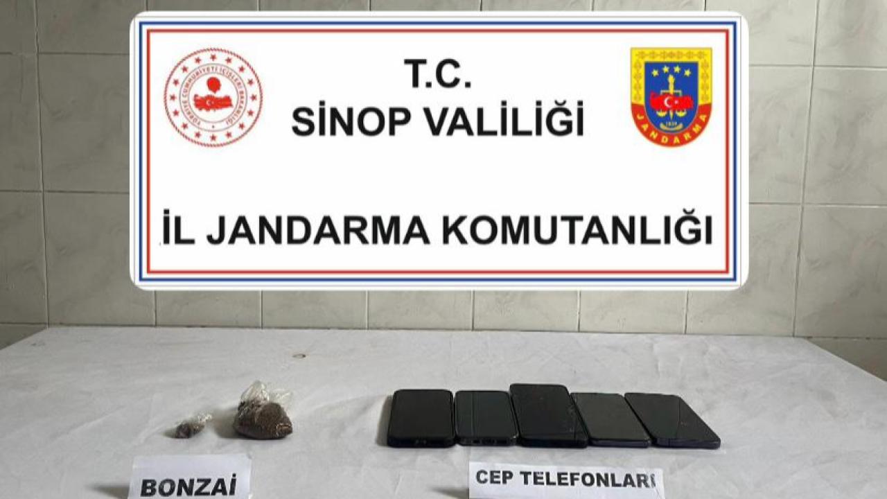 Sinop'ta 16,89 gram bonzai ele geçirildi