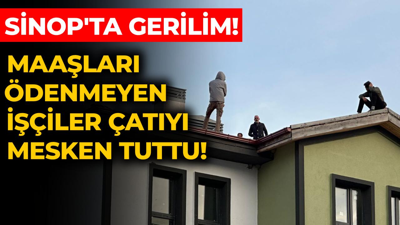 Otomatik Taslak