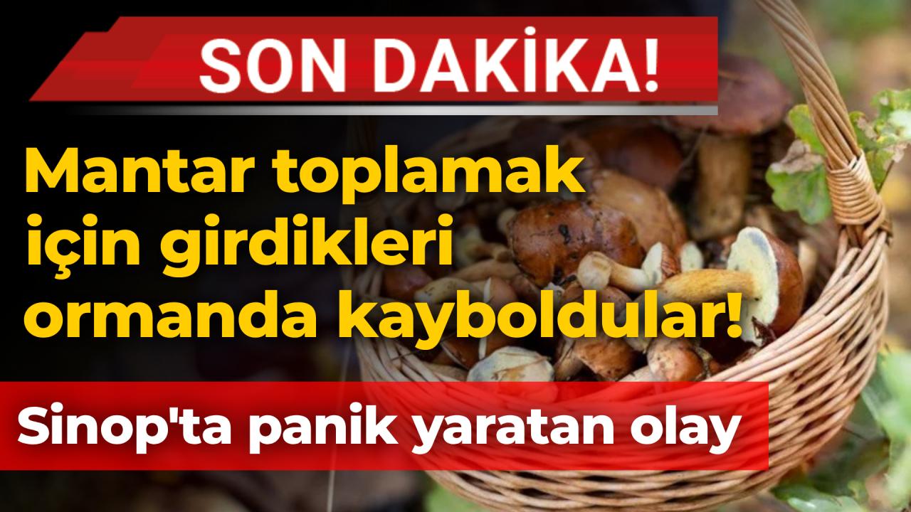 Sinop'ta mantar toplayıcısı kayboldu! Ekipler harekete geçti
