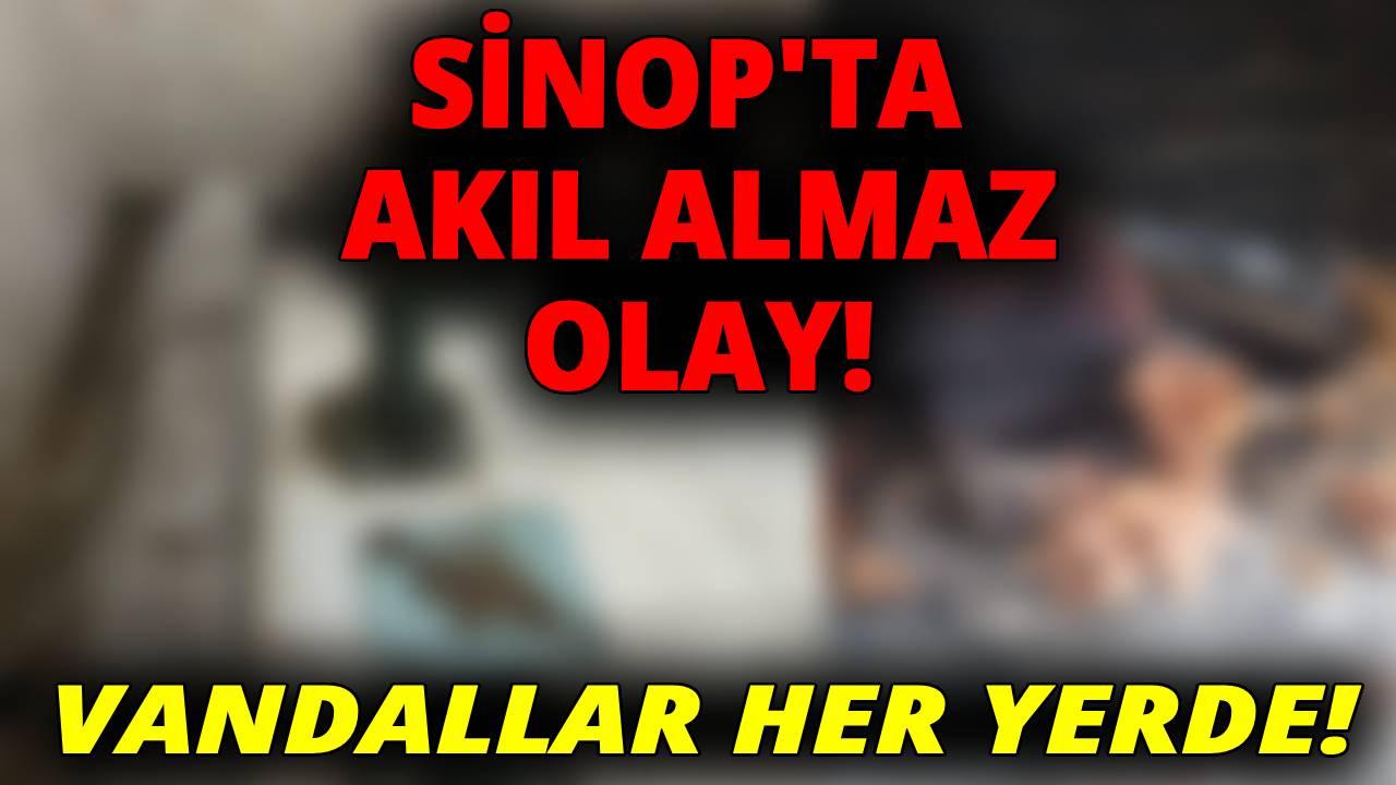 Sinop'ta yine bir utanç tablosu!