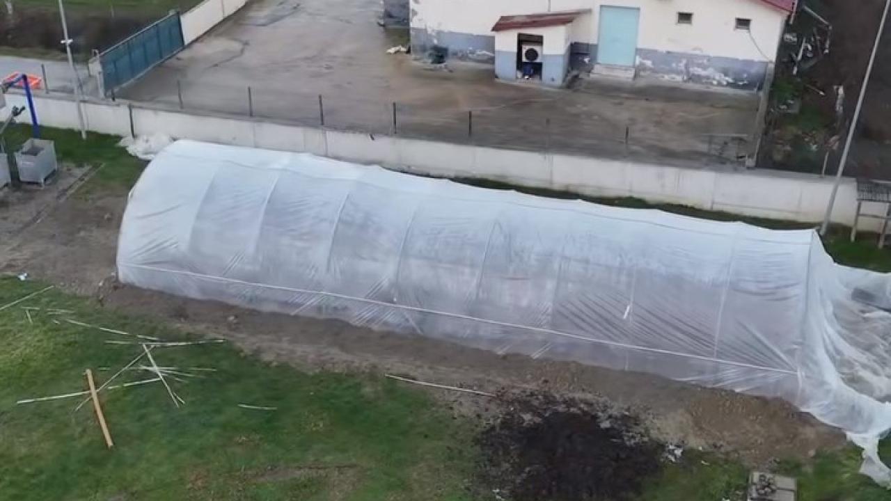 Durağan Belediyesi kendi çiçeğini kendi yetiştirecek