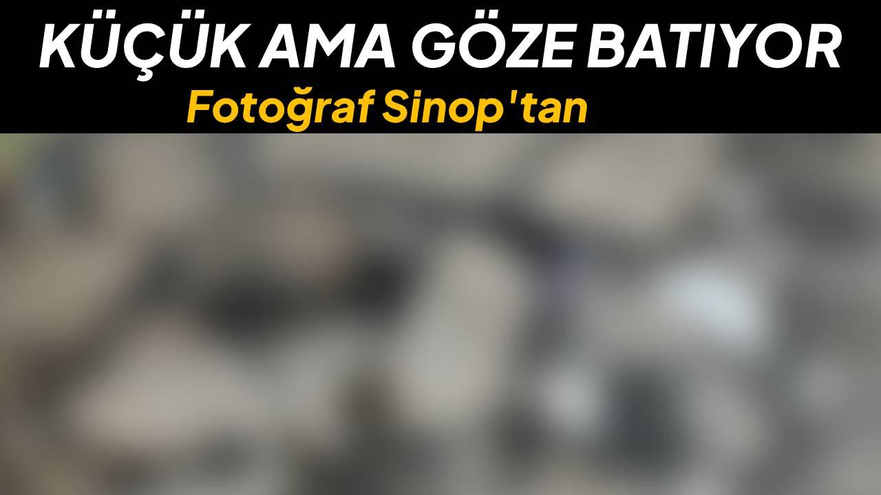 Otomatik Taslak