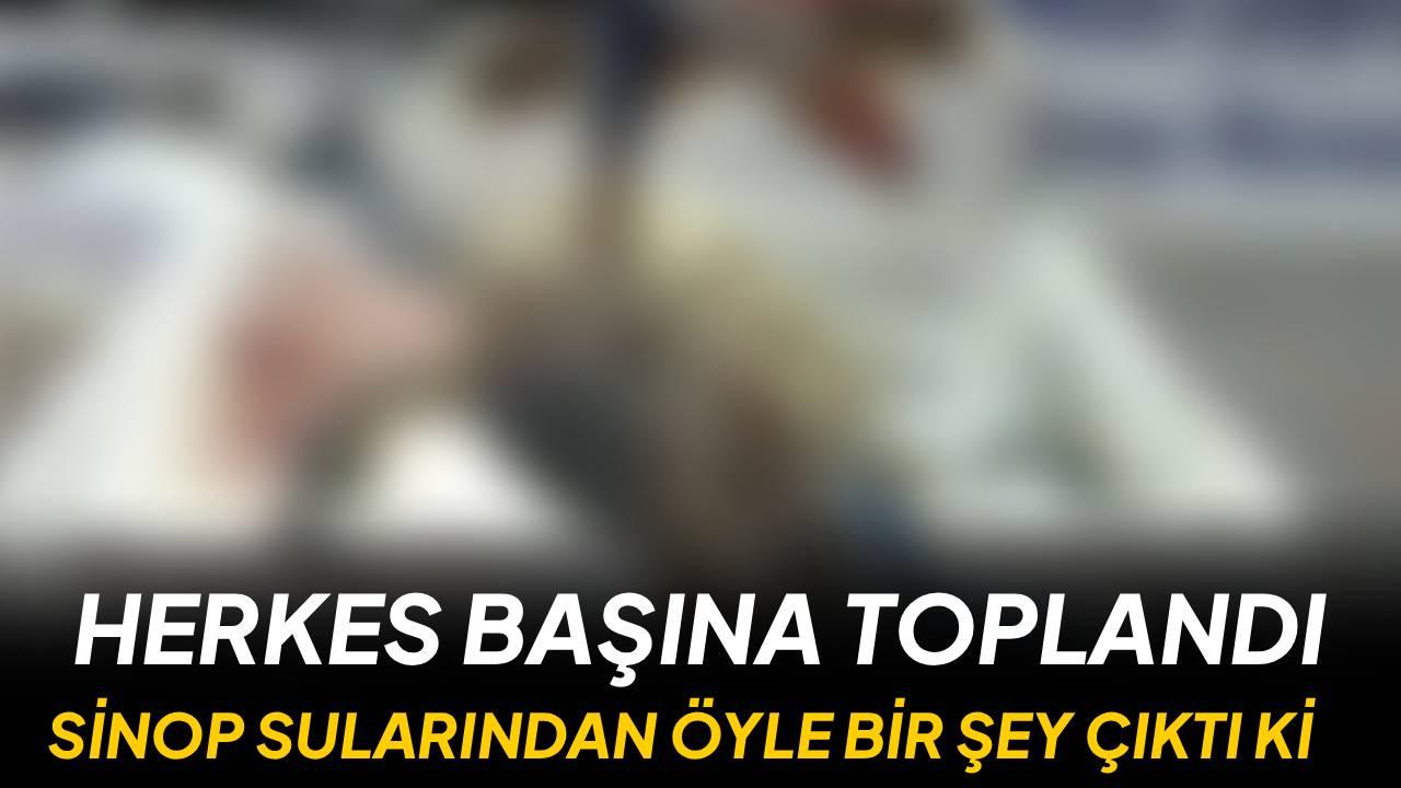 Otomatik Taslak