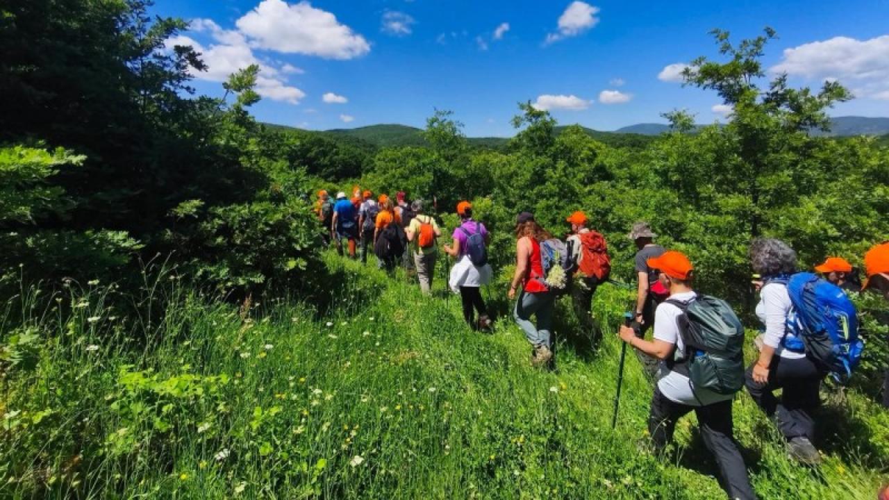 Artemea Yolu’nda Gerze rüzgârı