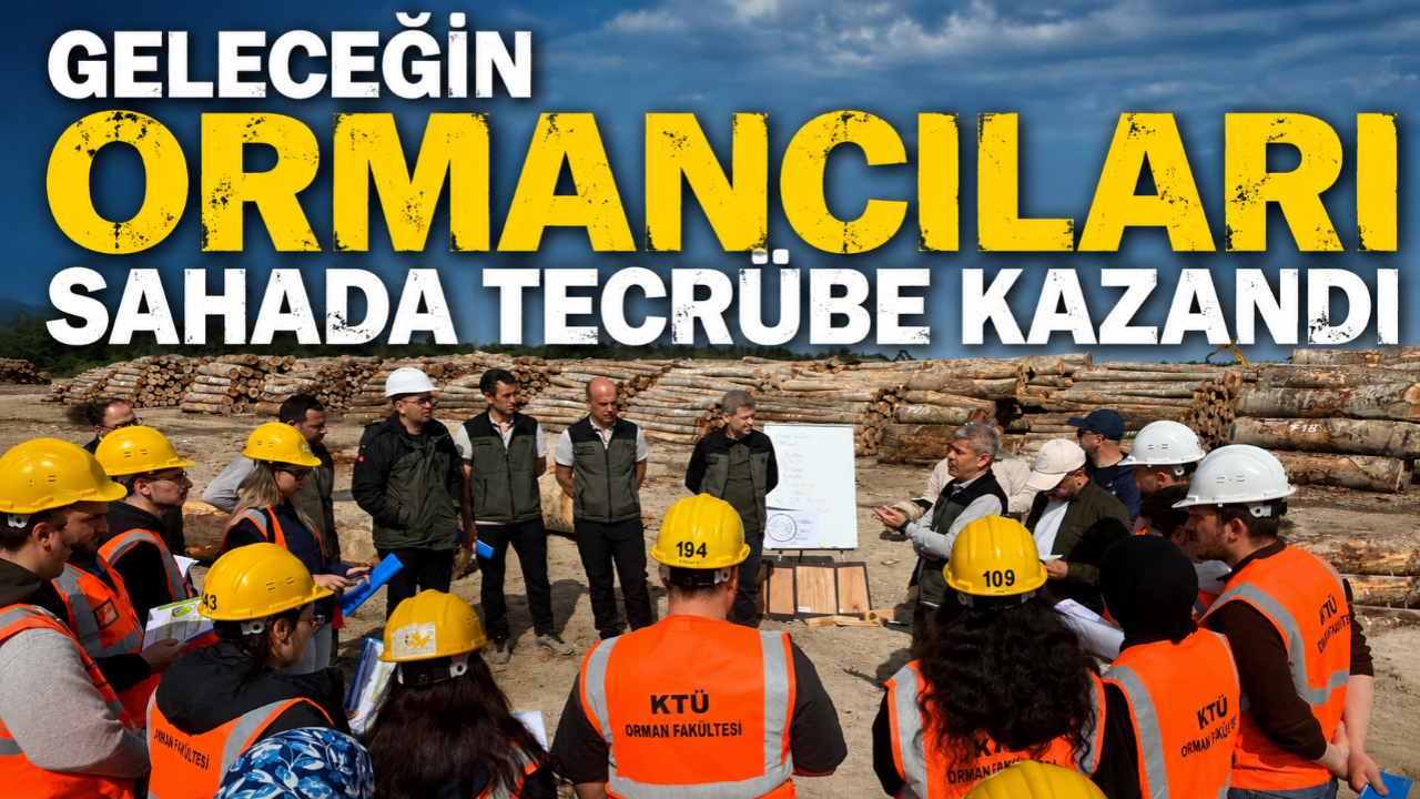 KTÜ öğrencileri Sinop’ta ormancılık faaliyetlerini yerinde inceledi