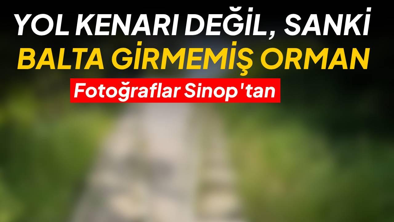 Mahalle sakinlerinden uzayan otlara tepki