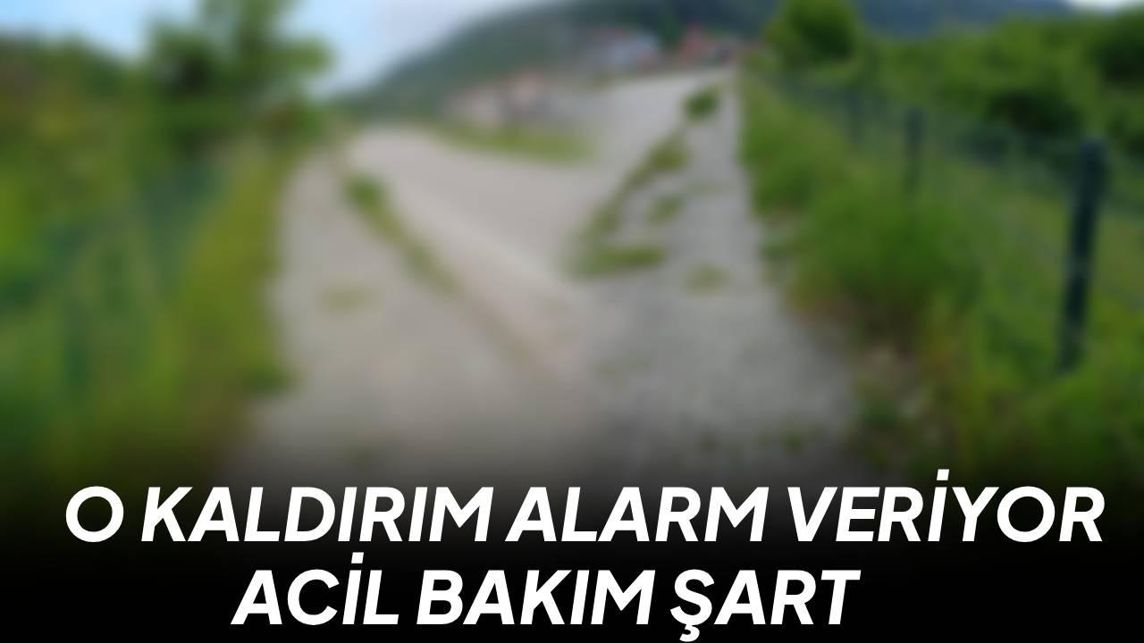 O bulvara bakım şart