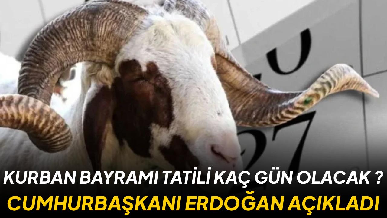 Otomatik Taslak