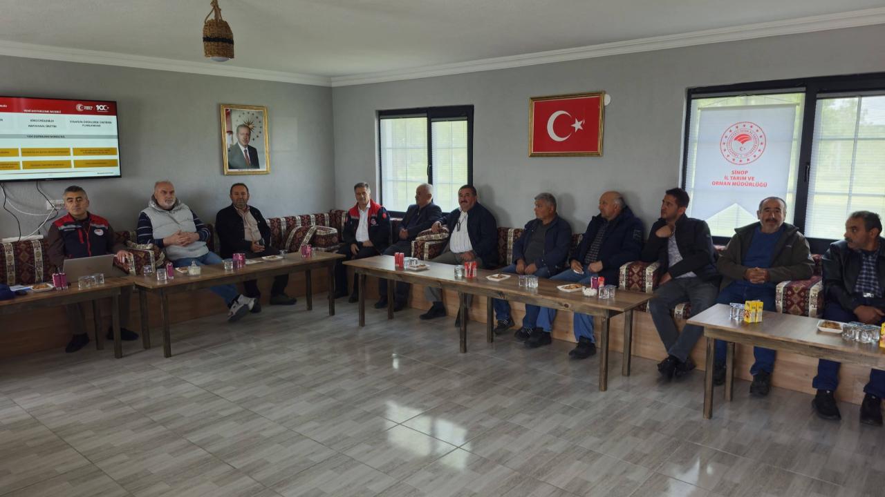 Otomatik Taslak