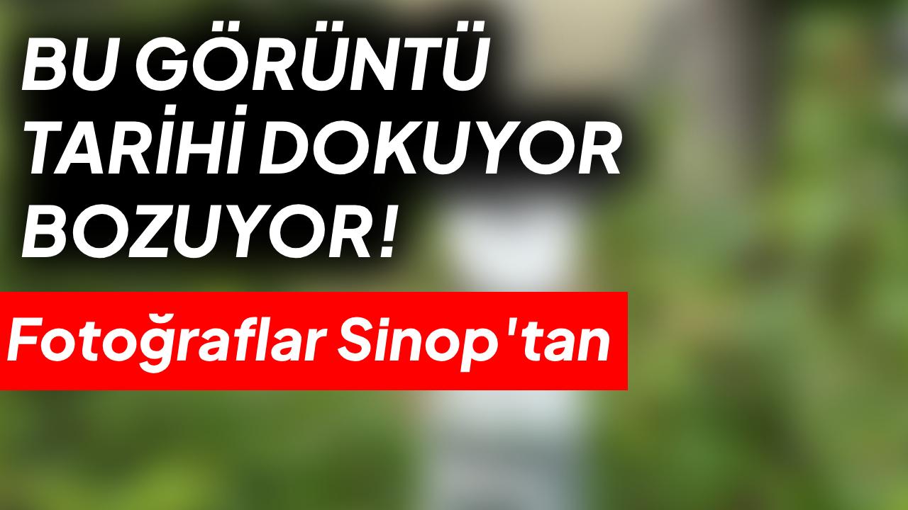 Otomatik Taslak