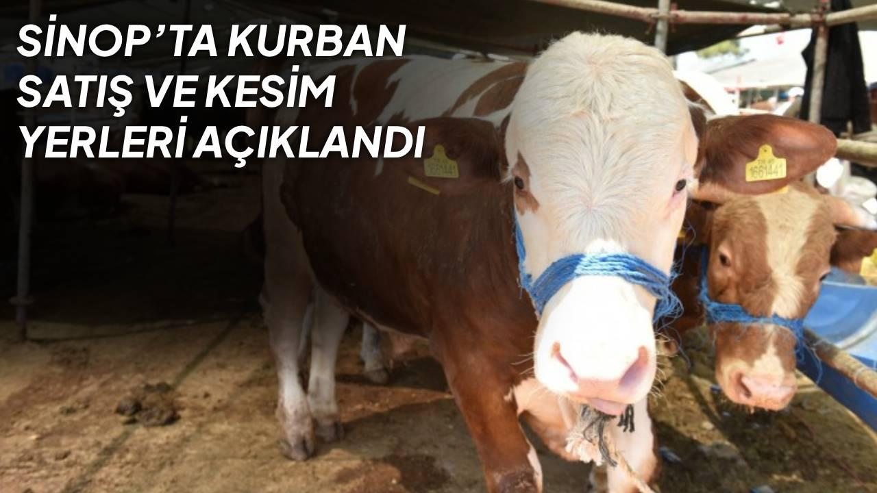 Sinop’ta kurban satış ve kesim yerleri açıklandı