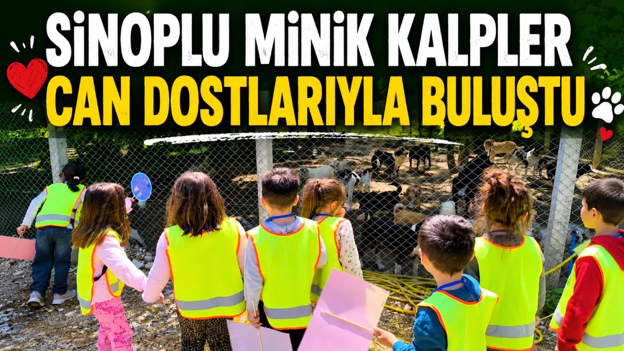 Sinop’ta miniklere hayvan sevgisi aşılandı
