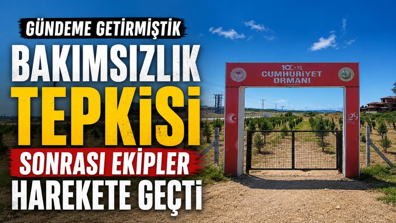 Haberimiz ses getirdi:Cumhuriyet Ormanı’nda bakım seferberliği