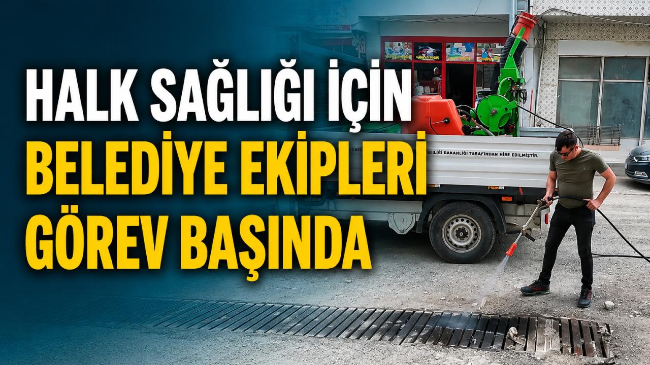 İlçede haşerelere karşı etkin mücadele