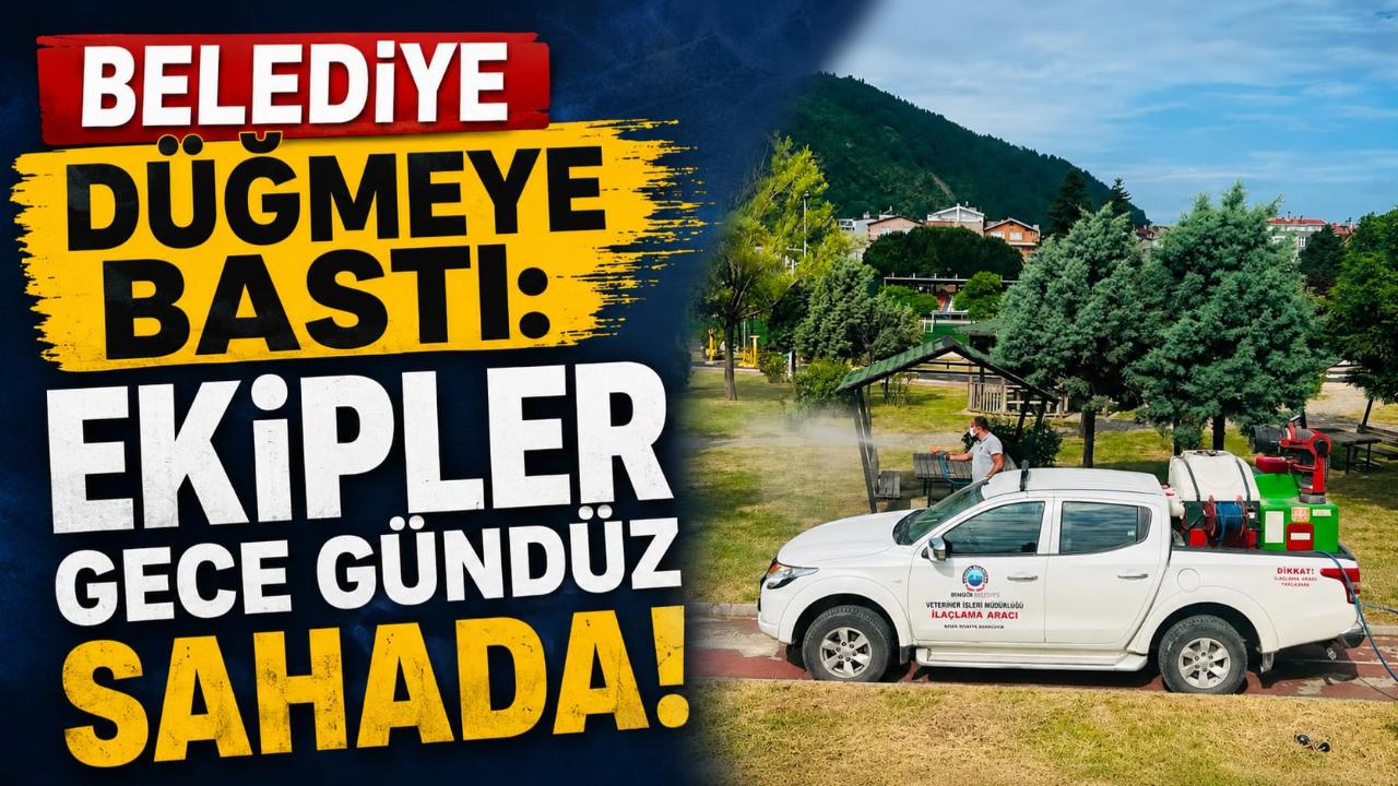 İlçede haşerelere karşı ilaçlama seferberliği
