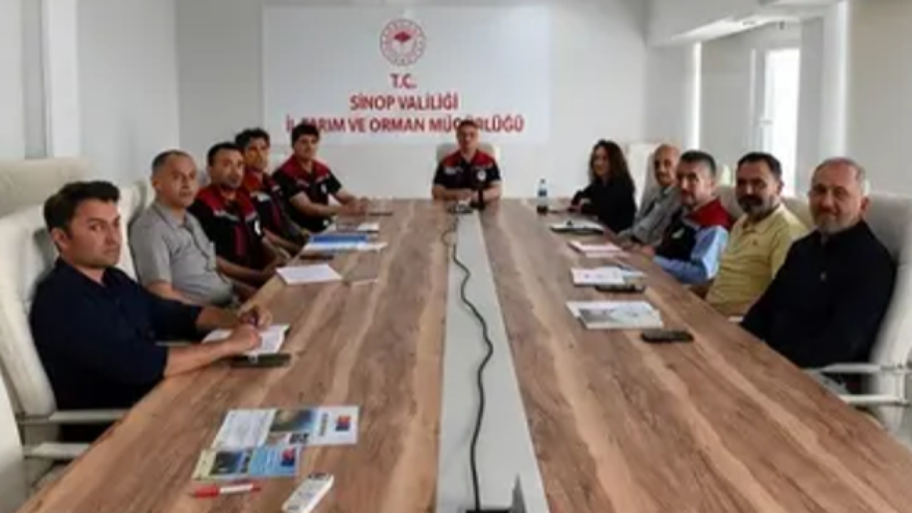 Otomatik Taslak