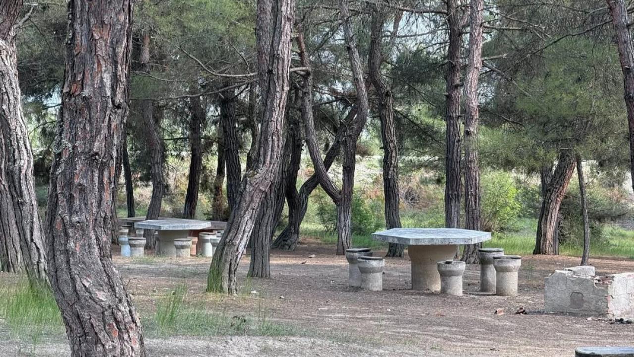 Otomatik Taslak