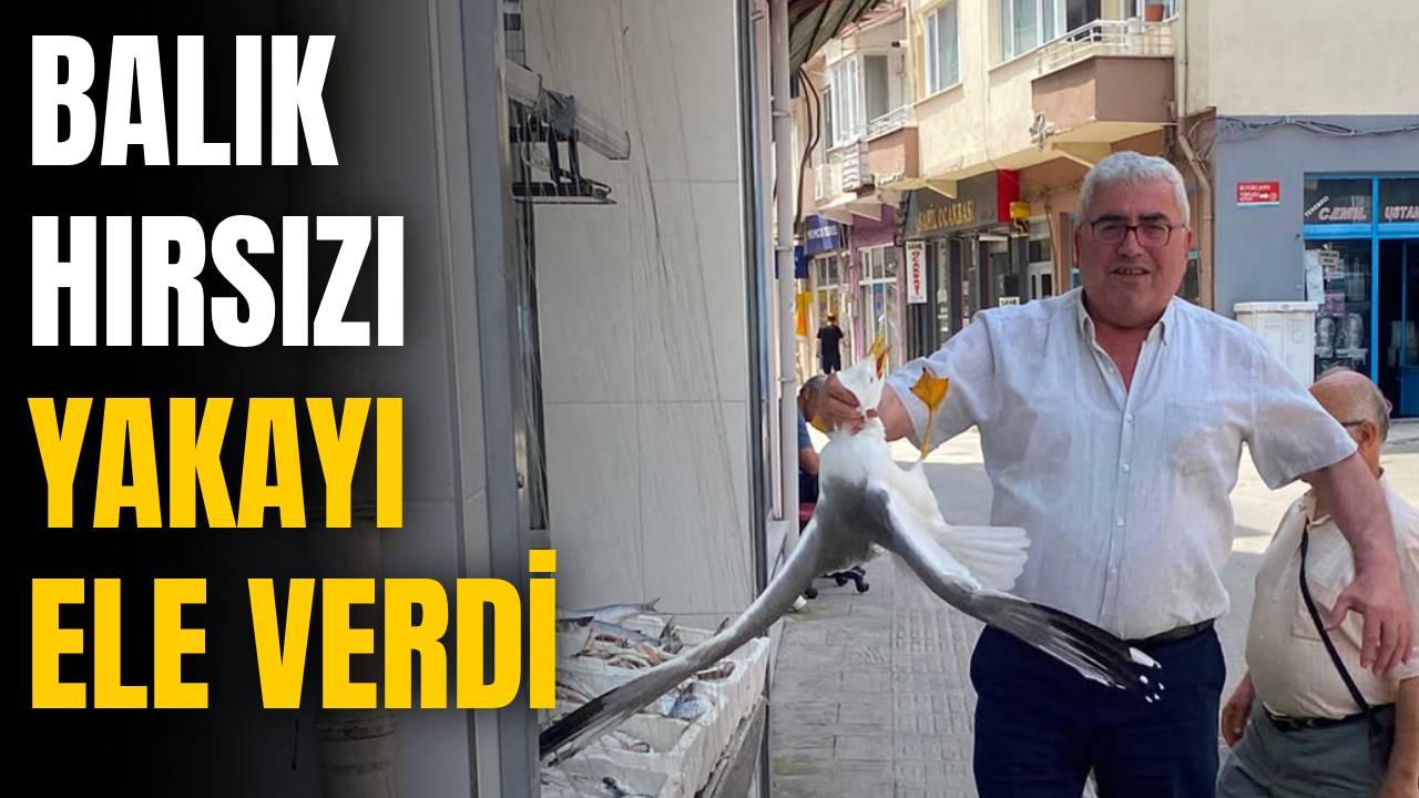 Otomatik Taslak