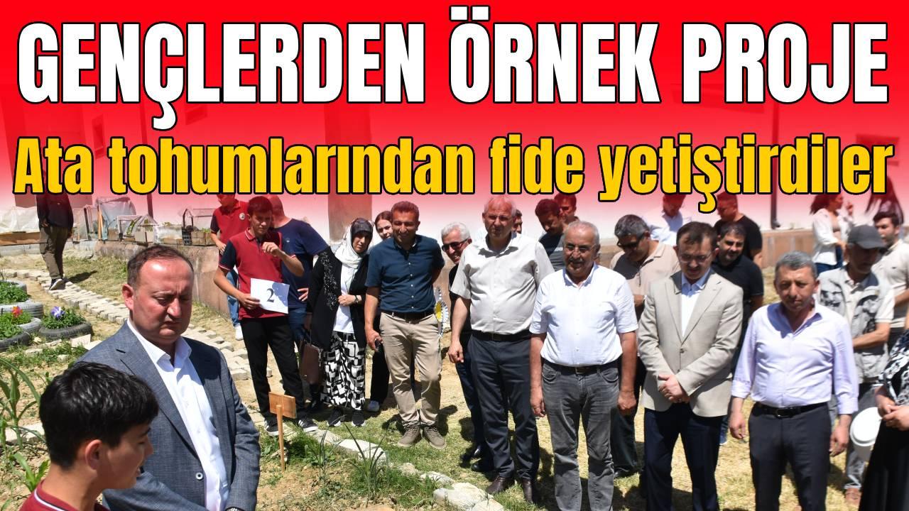 Otomatik Taslak