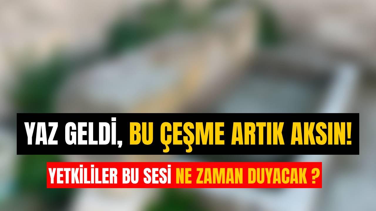 Otomatik Taslak