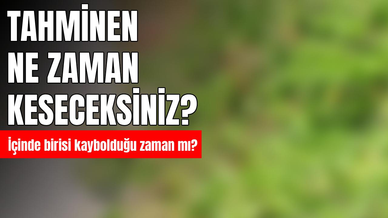 Otomatik Taslak