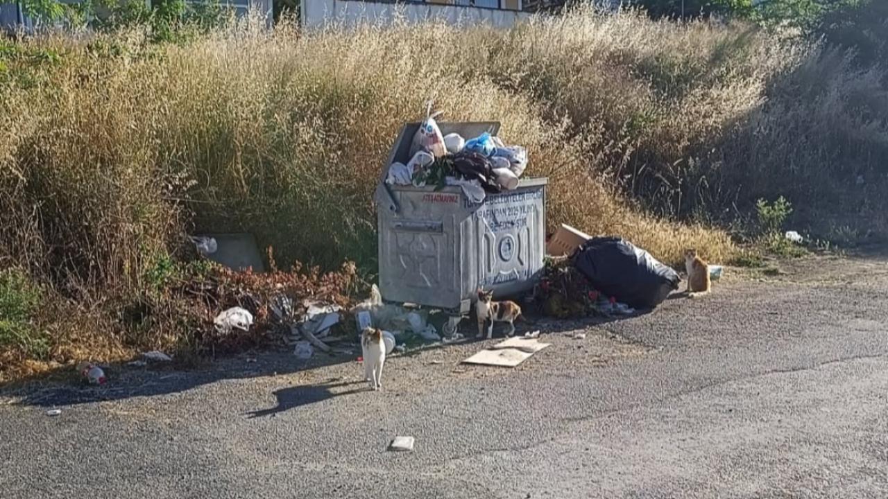 Otomatik Taslak