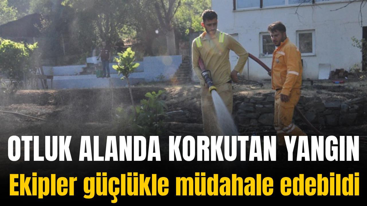 Otomatik Taslak