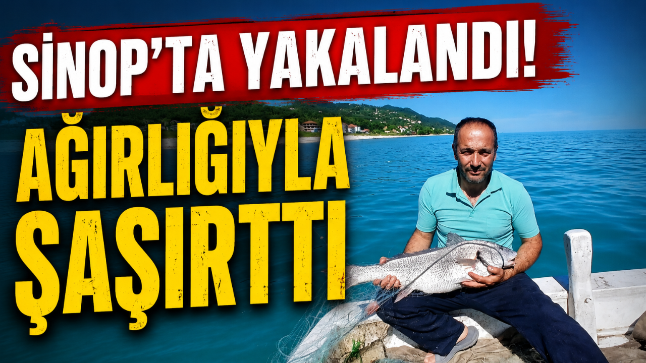 Sinop açıklarında yüz güldüren av