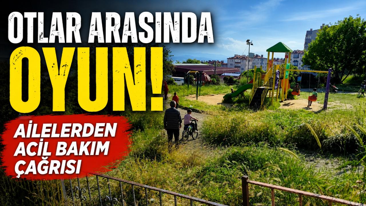 Sinop'ta çocuk parkı ormana döndü vatandaş çağrı yaptı