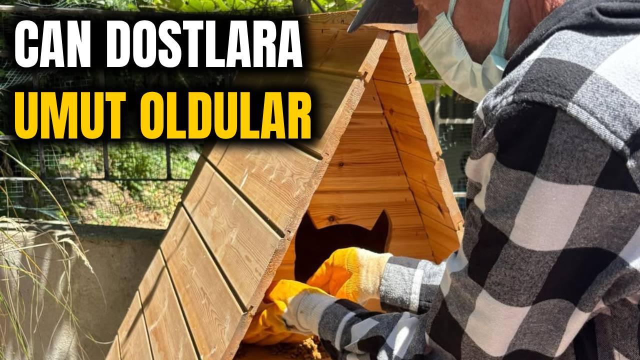 Sinop’ta sokak hayvanları için örnek çalışma