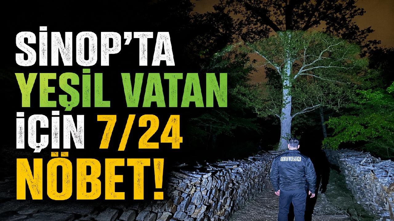 Sinop’ta "Yeşil Vatan" için gece gündüz mesai