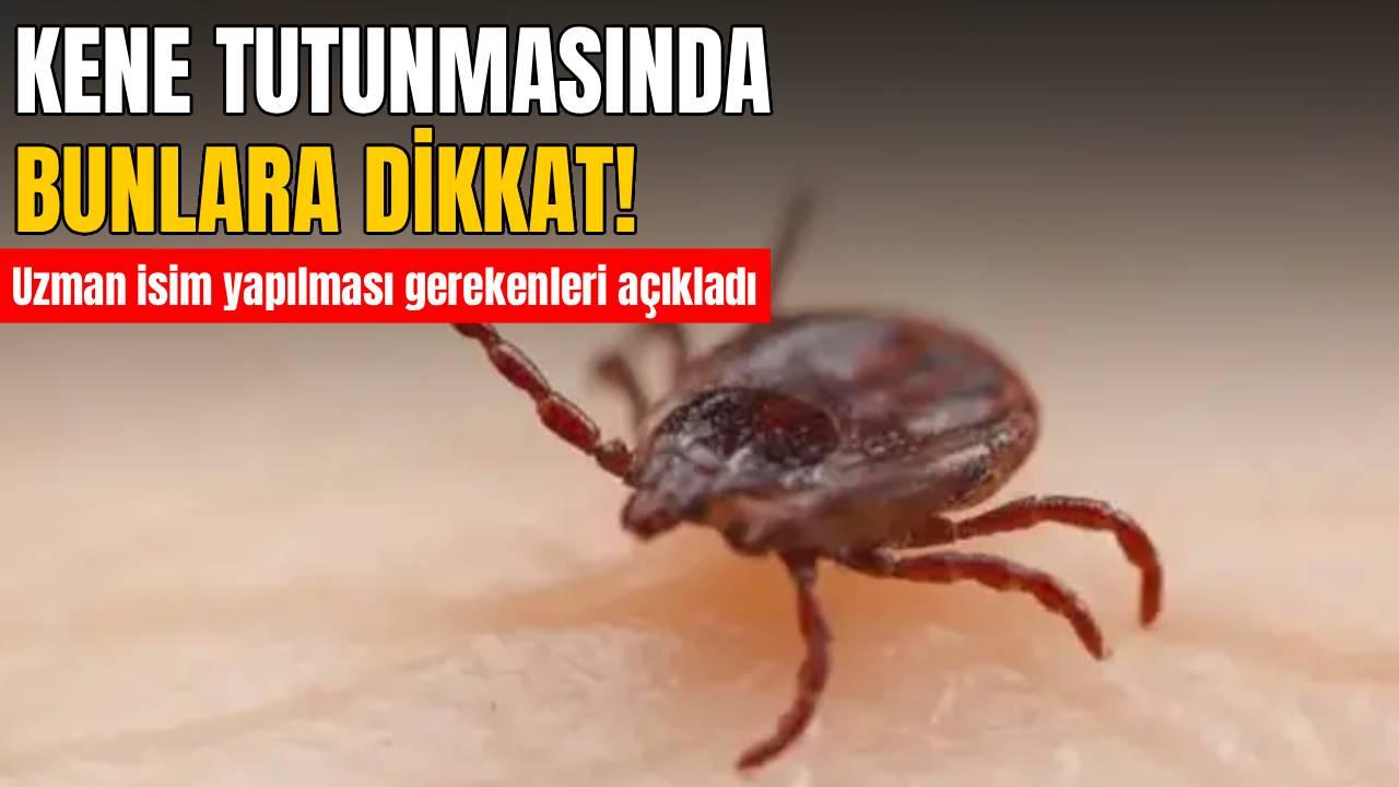 Uzmanından kene tutunmasında ’10 gün’ uyarısı