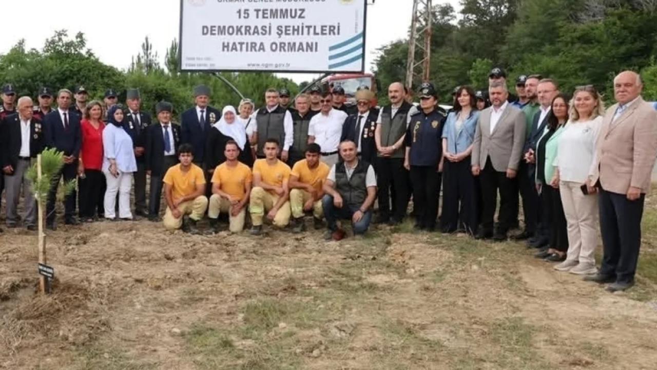 15 Temmuz hatıra ormanında bakım yapıldı