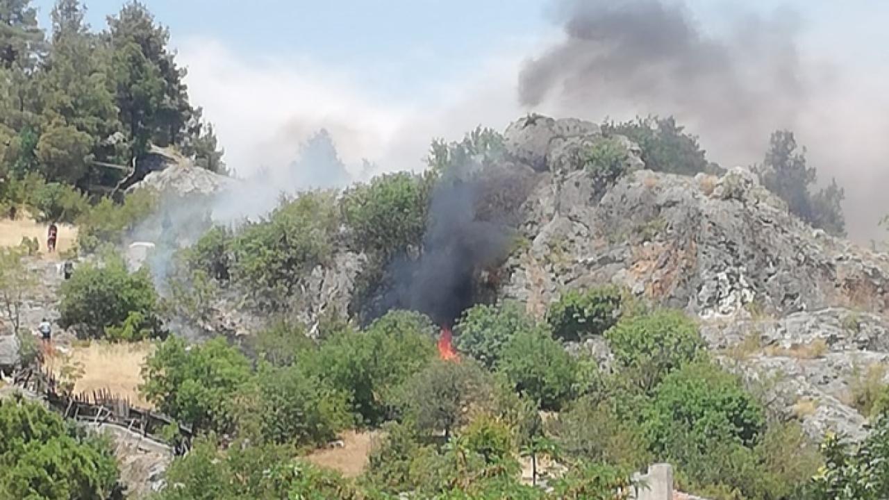 Boyabat Kalesi'nde korkutan yangın