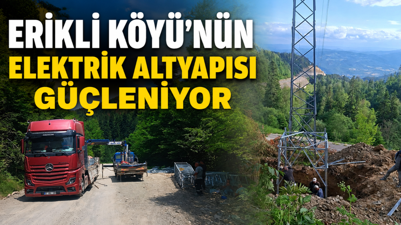 Erikli köyünde yüksek gerilim hatları baştan aşağı modernize ediliyor