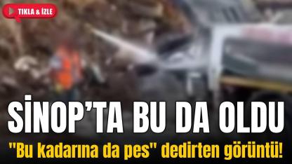 Görenler gözlerine inanamadı: Sinop'ta sokak ortasında çevre katliamı