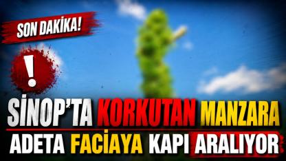 Herkes yanından geçiyor ama kimse farkında değil! Büyük tehlike