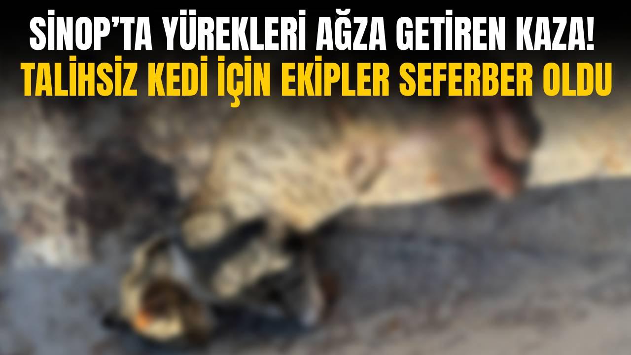 Köy sakinleri ihbar etti, ekipler hızır gibi yetişti